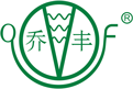 乔丰科技